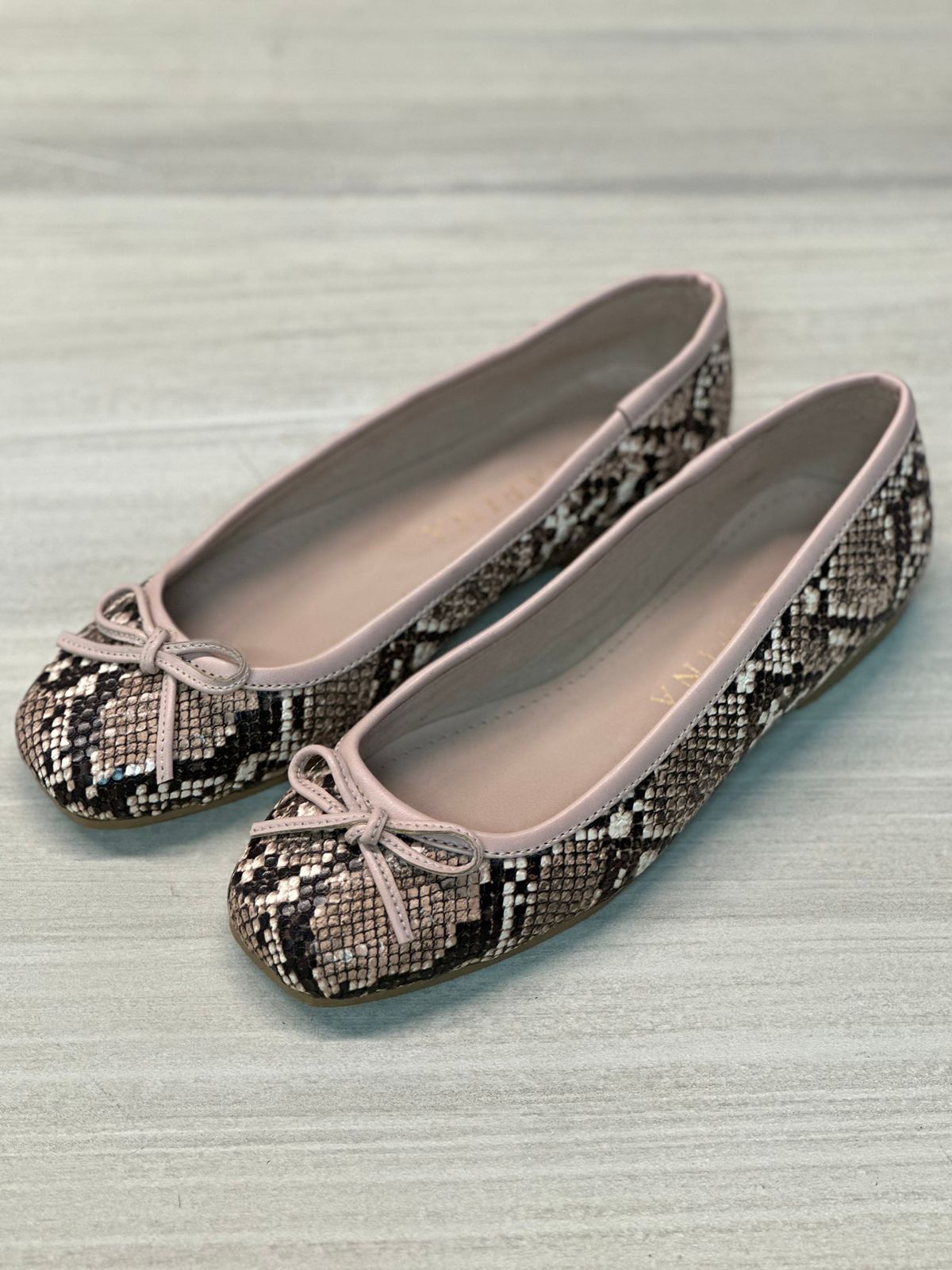 BALETAS PYTHON